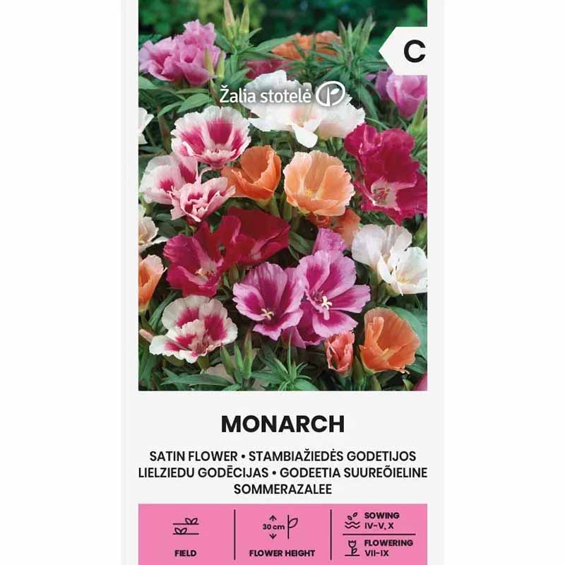 Kukonkukka 'Monarch'