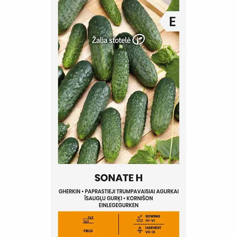 Kurkku 'Sonate' F1