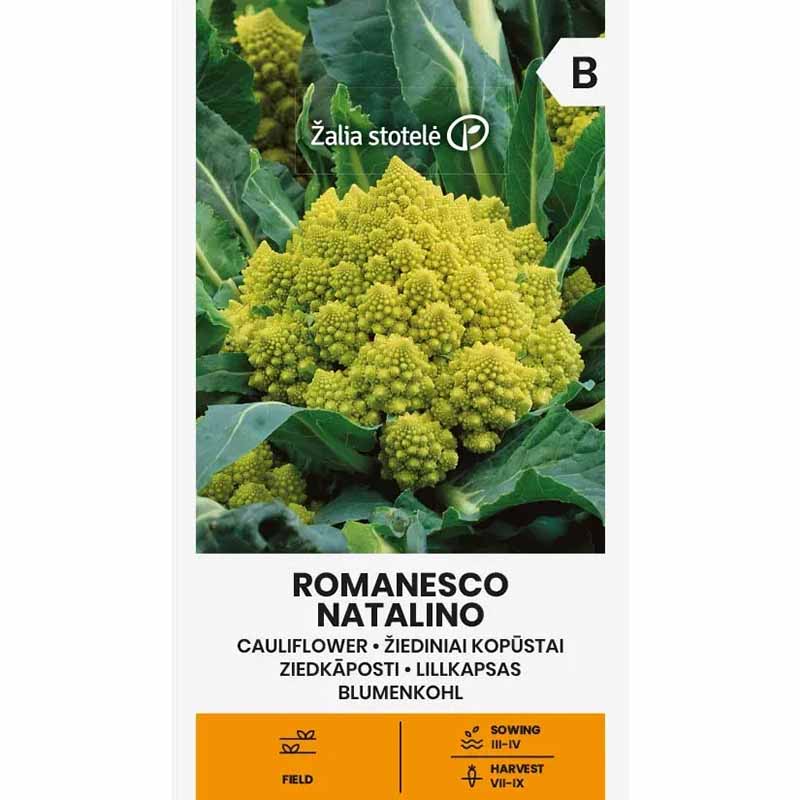 Kukkakaali 'Romanesco natalino'