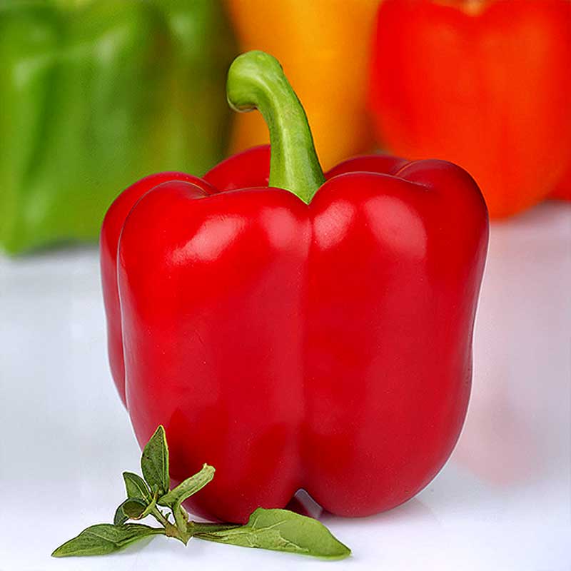 Paprika 'Red King' F1