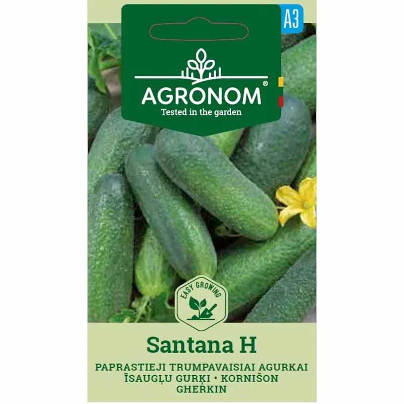 Avomaankurkku 'Santana' F1