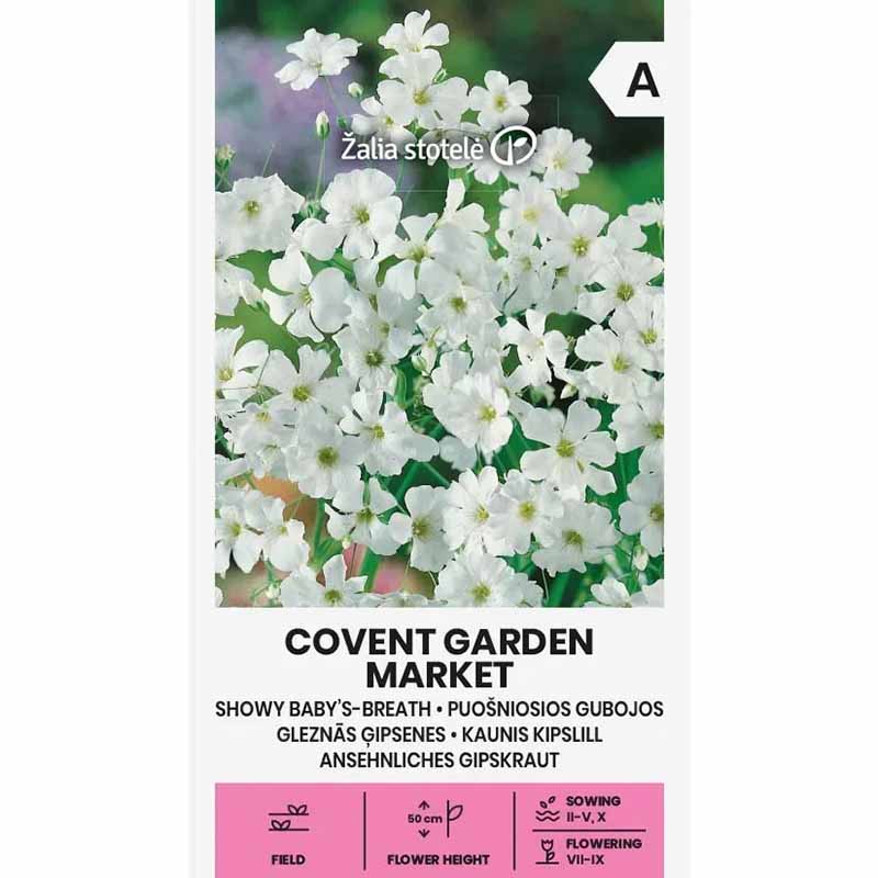 Morsiusleinikki 'Covent Garden Market'