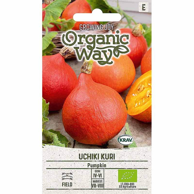 Kurpitsa 'Uchhiki Kuri'