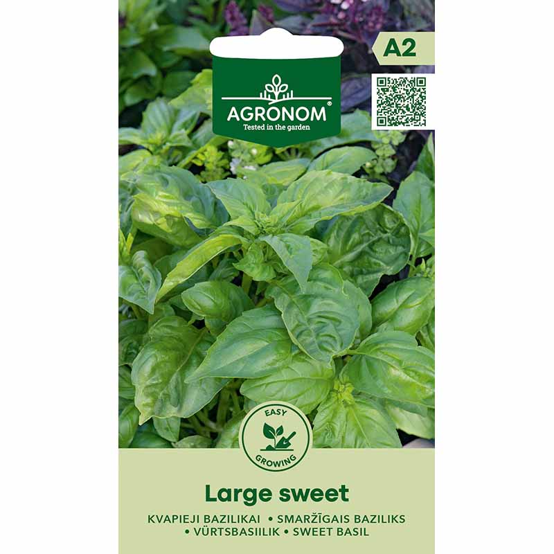 Basilika 'Large Sweet'