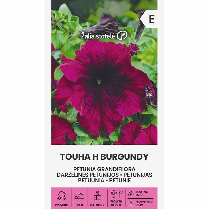 Tuoksupetunia 'Touha h burgundy'