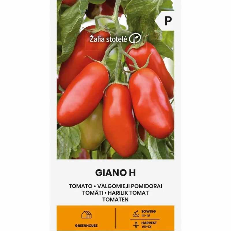 Tomaatti 'Giano' H