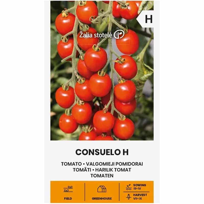 Tomaatti 'Consuelo' H