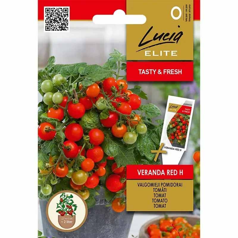 Tomaatti 'Veranda red' H