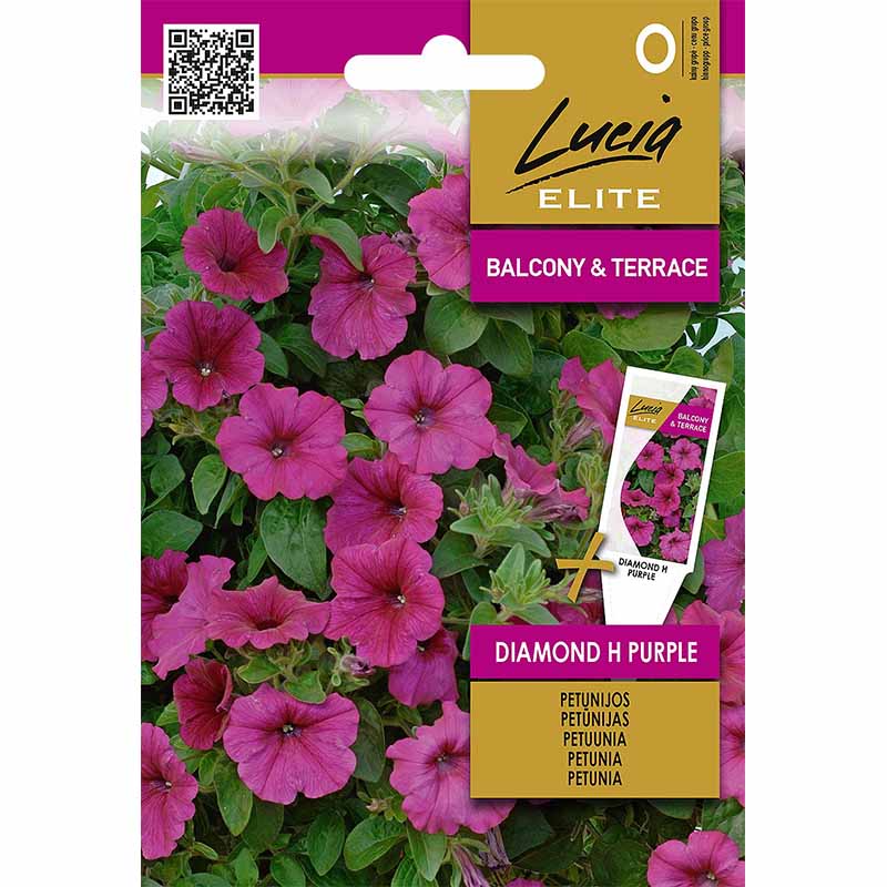 Petunia 'Diamond' F1 Purple