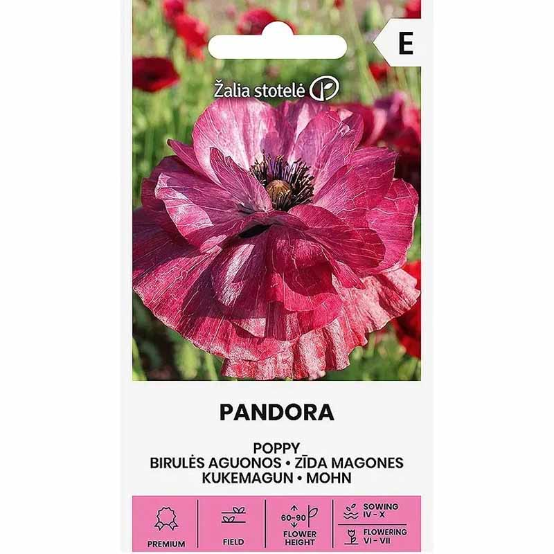Unikko 'Pandora'