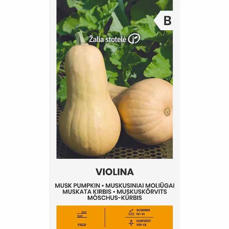 Myskikurpitsa 'Violina'