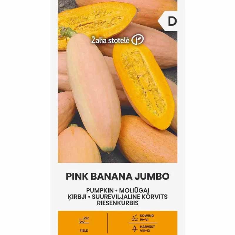 Jättikurpitsa 'Pink banana jumbo'