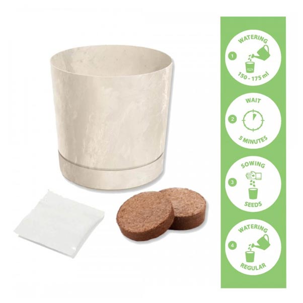 Kasvatuspakkaus Tomaatille 'Tiny Tim'