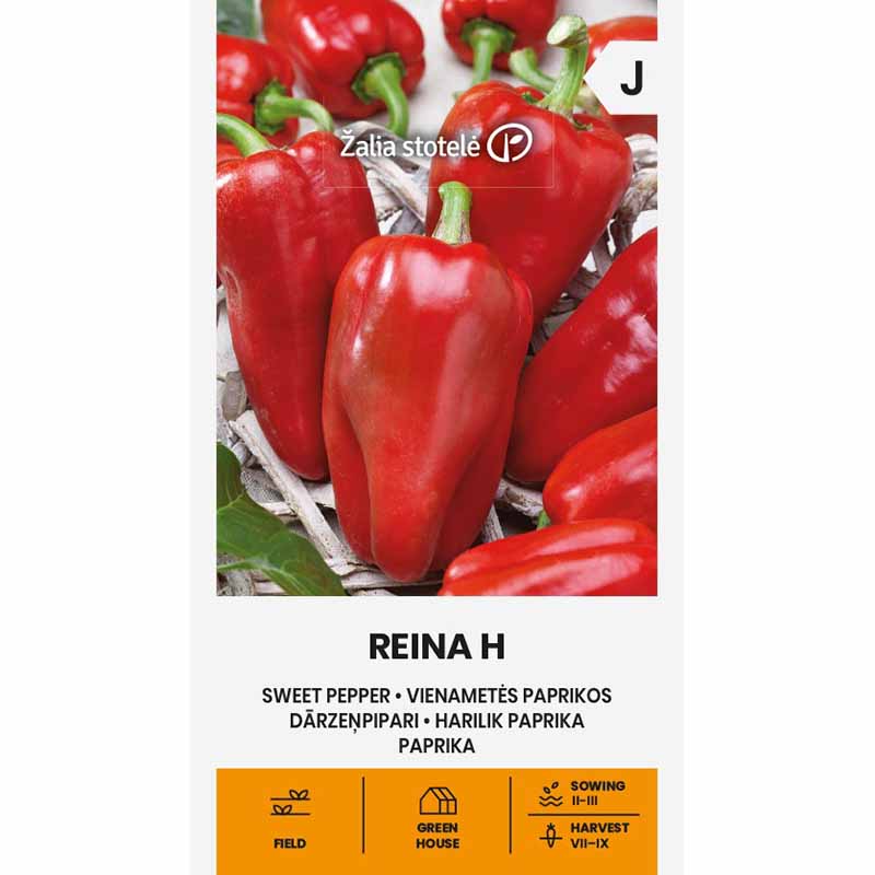 Paprika 'Reina' H
