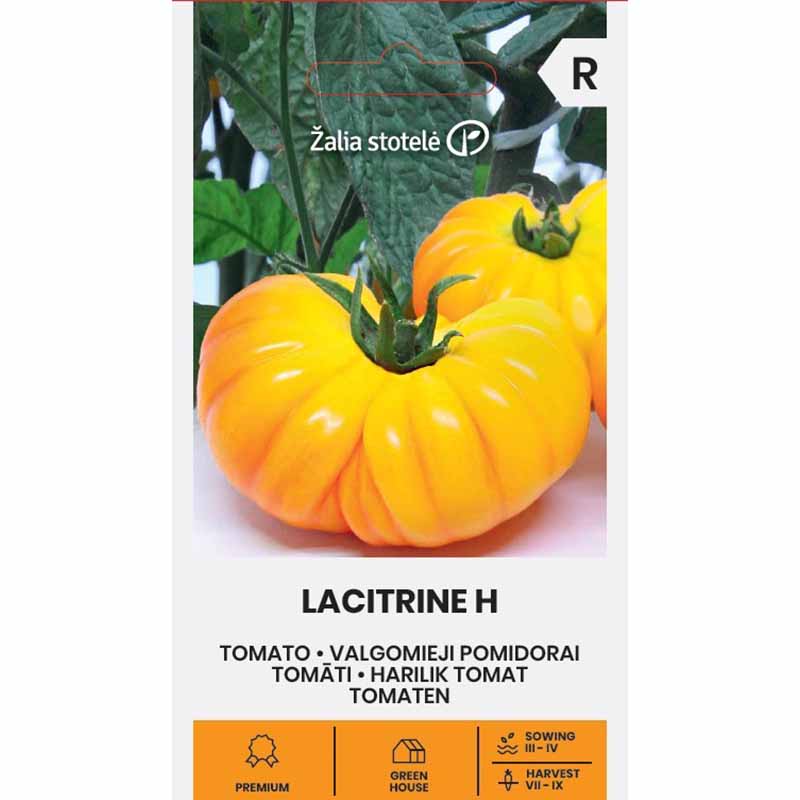 Tomaatti 'Lacitrine' H