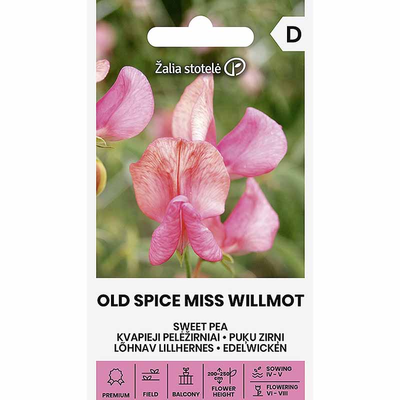Tuoksuherne 'Old Spice Miss Willmot'