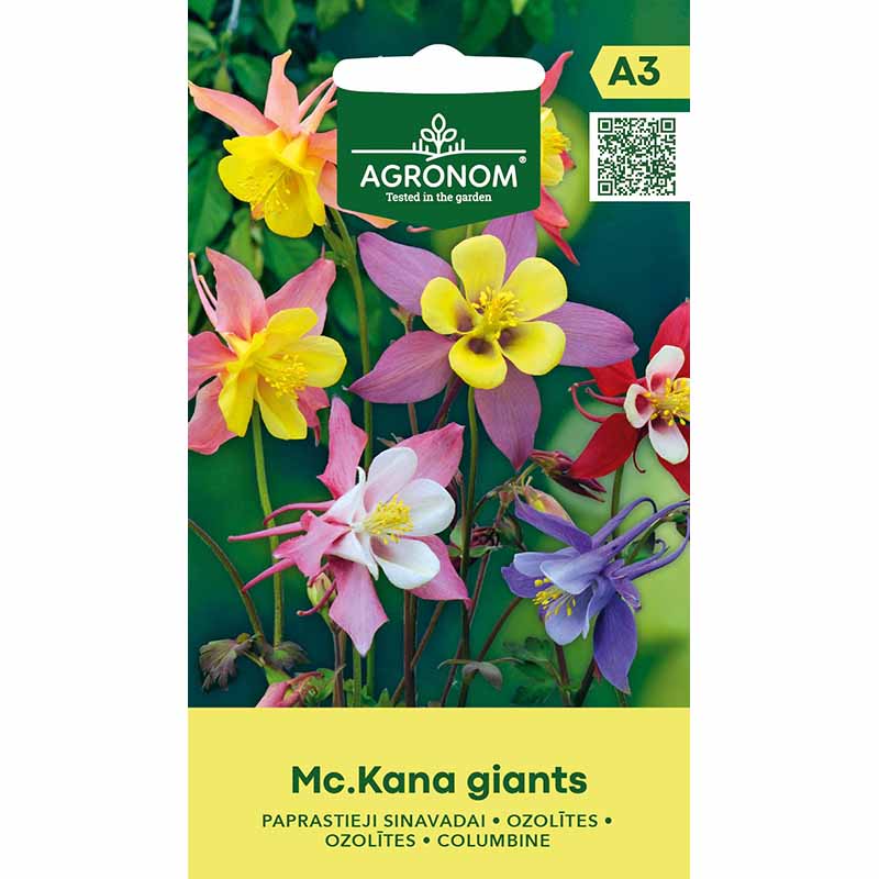 Akileija 'McKana Giants'