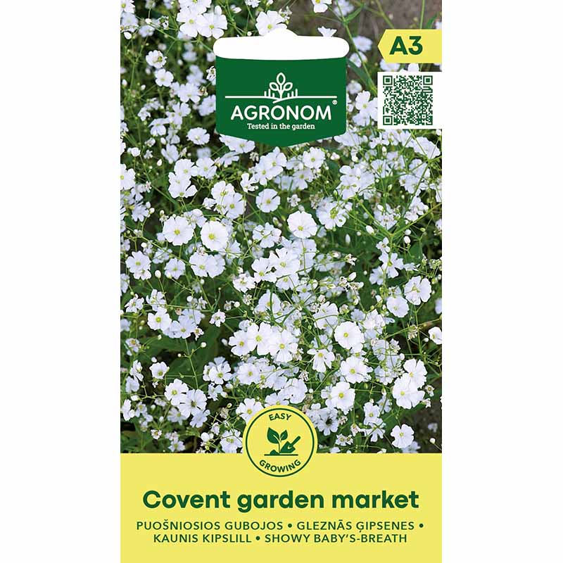 Morsiusharso 'Covent Garden Market'