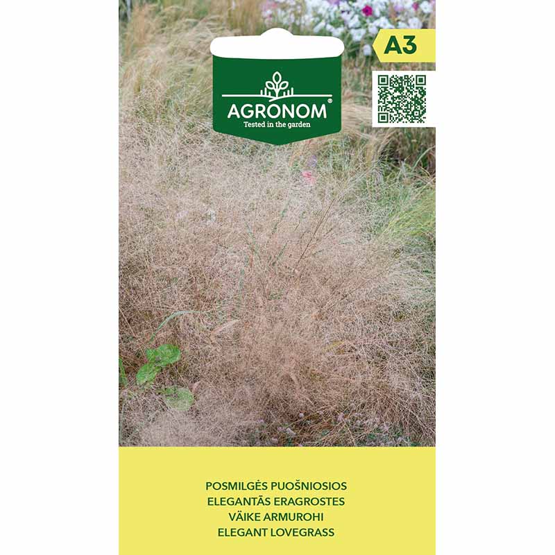 Elegantti Rakkausheinä