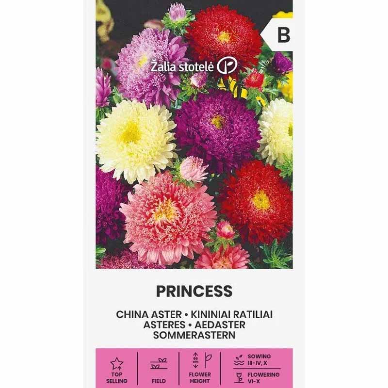 Kesäasteri 'Princess mix'