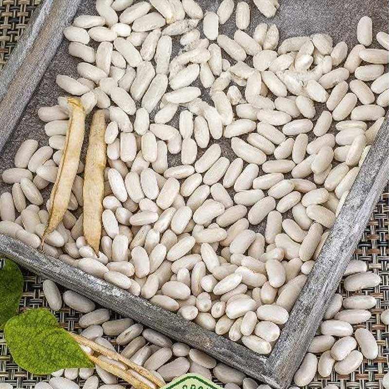 Keittopapu 'Igołomska'