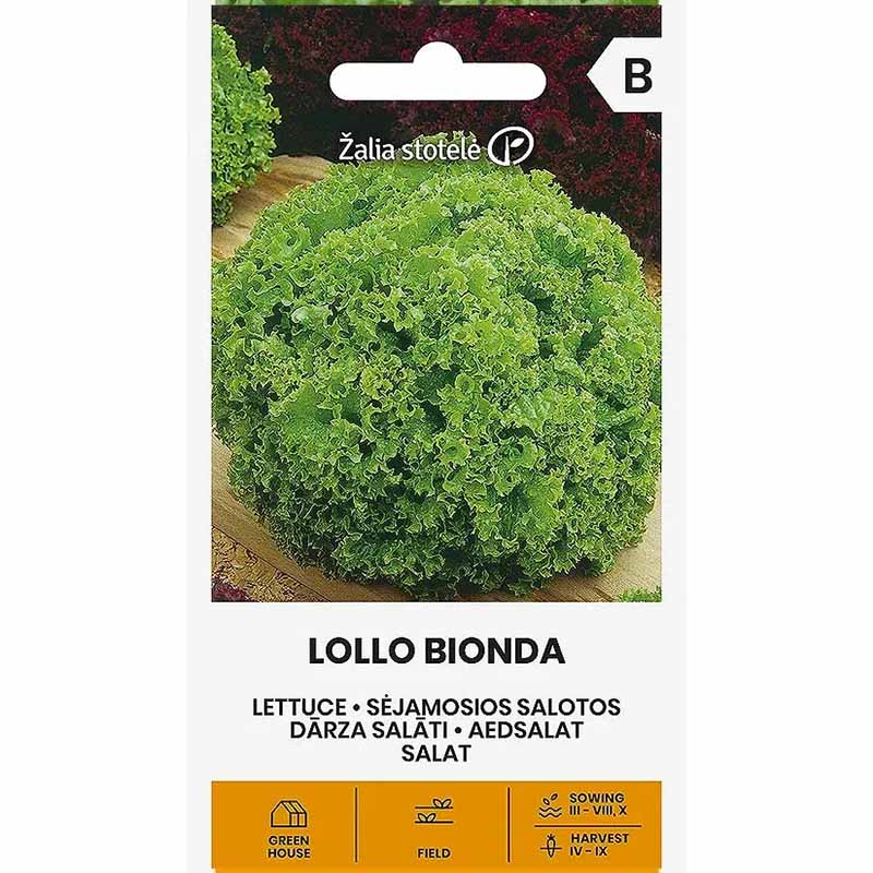 Lehtisalaatti 'Lollo Bionda'
