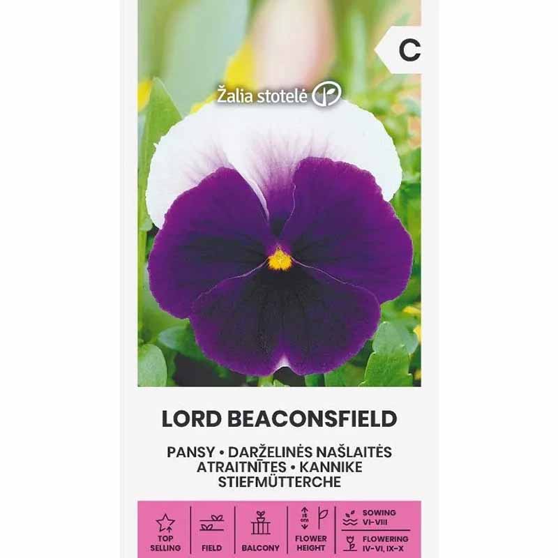 Orvokki 'Lord beaconsfield'