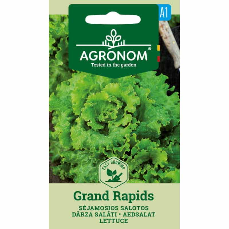 Salaatti 'Grand Rapids'
