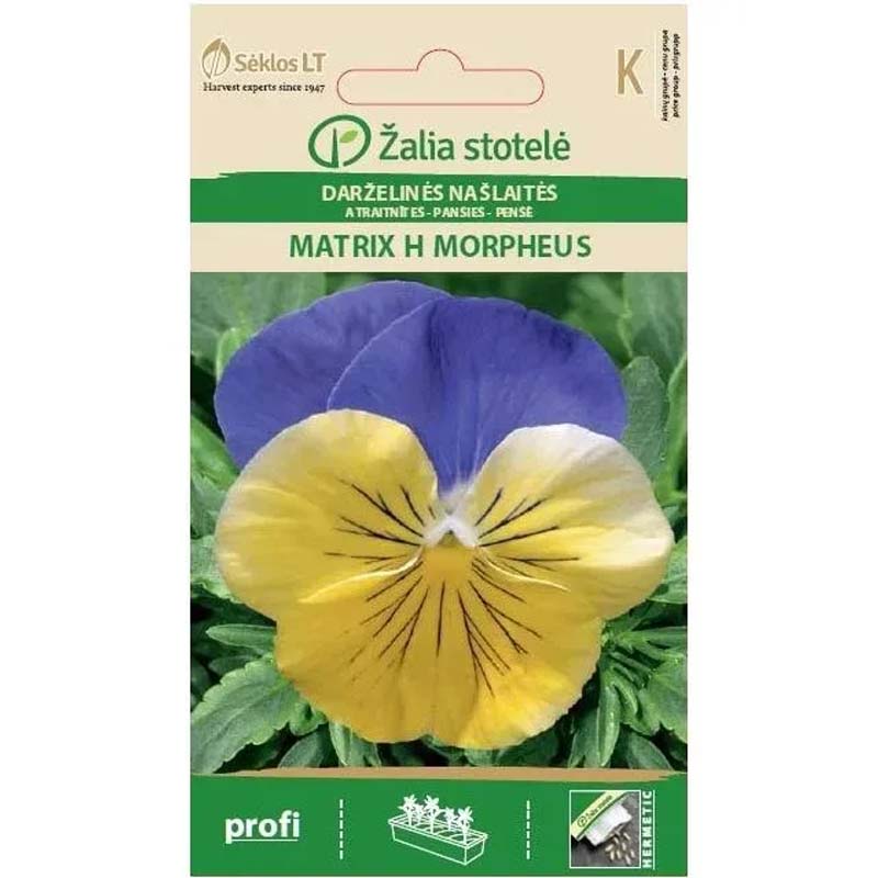 Orvokki 'Matrix H Morpheus'