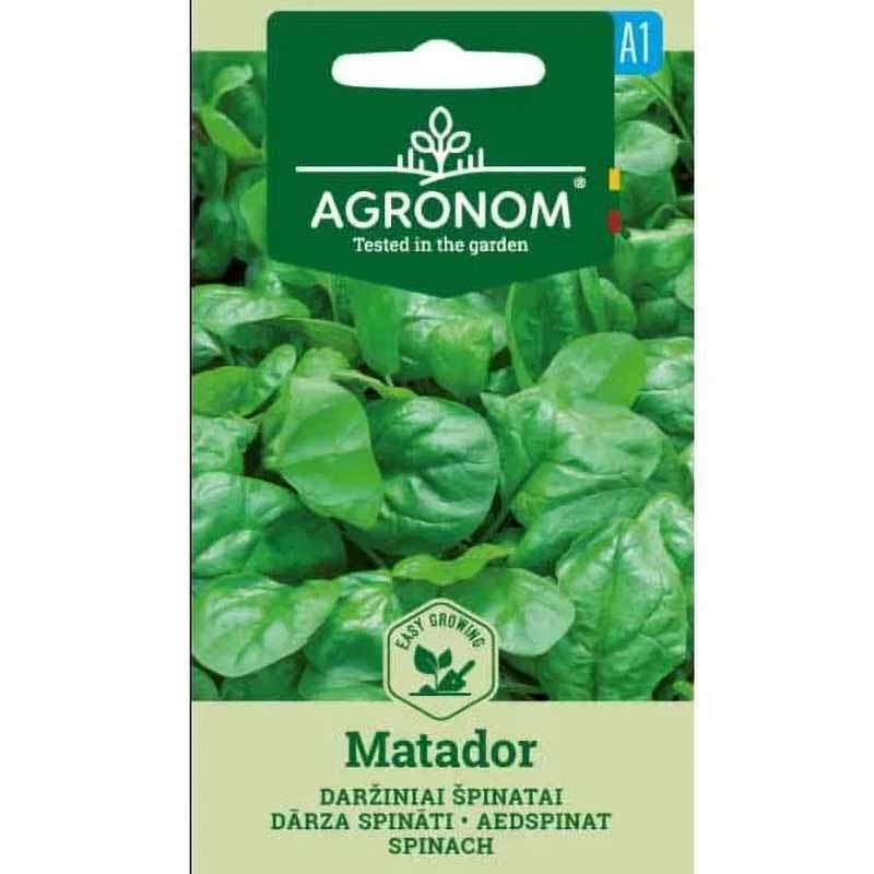 Spinach 'Matador'