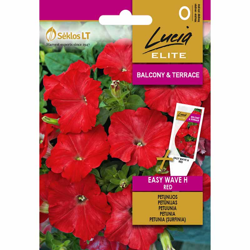 Petunia 'Easy wave h red'