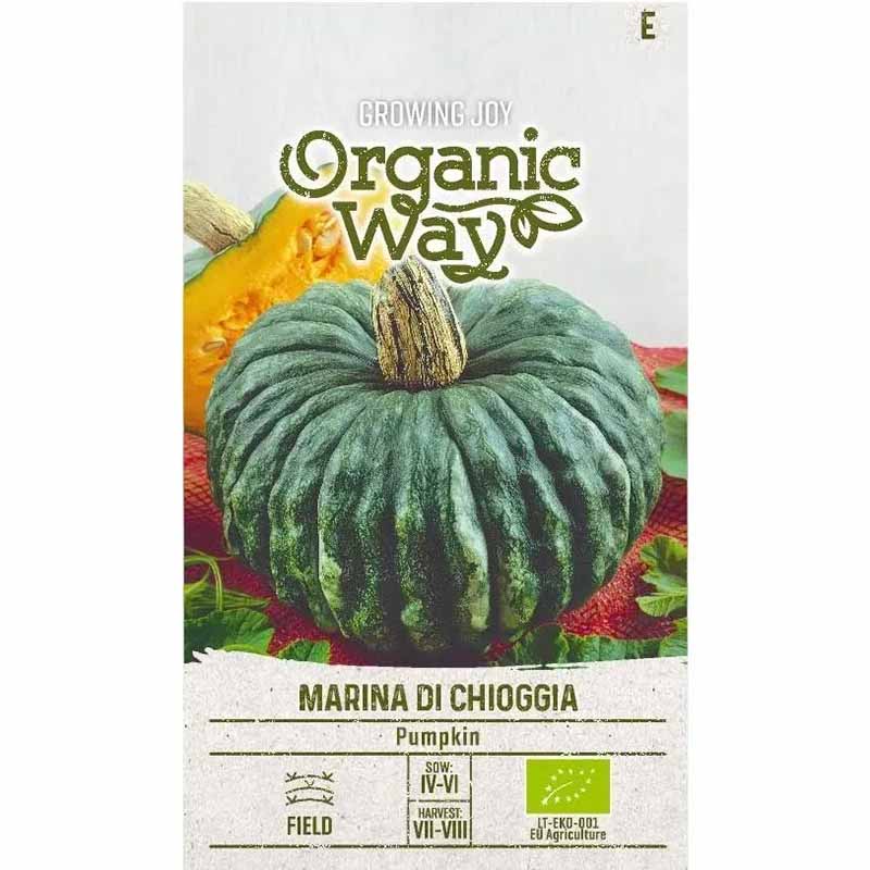 Kurpitsa 'Marina di chioggia'