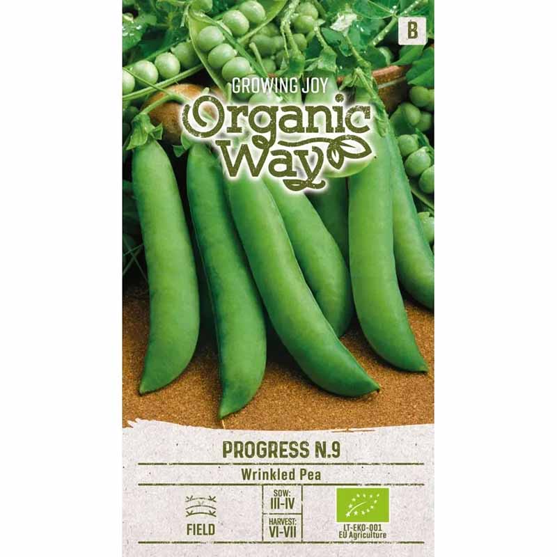 Silpoydinherne 'Progress N.9'