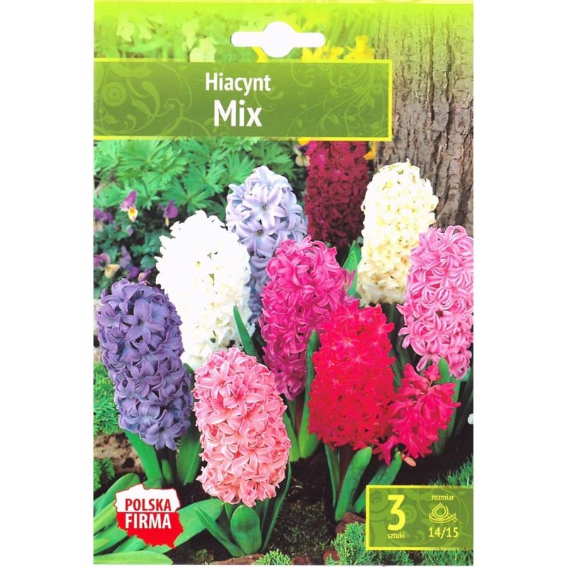 Hyacintmix