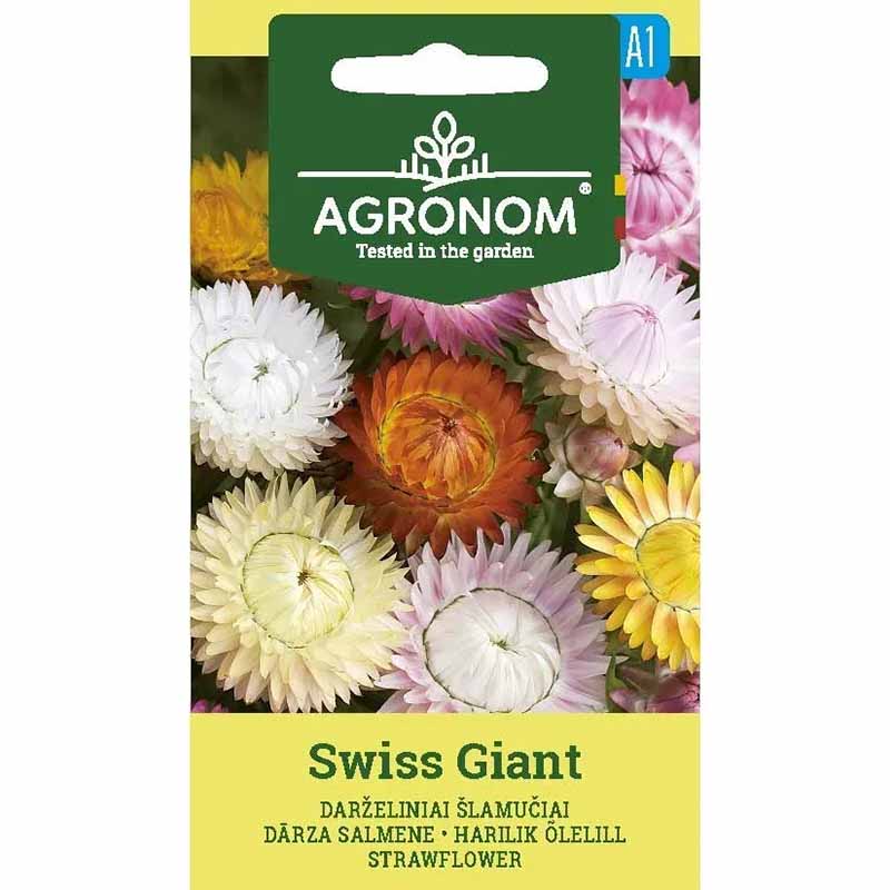 Ikuisuuskukka 'Swiss Giants'