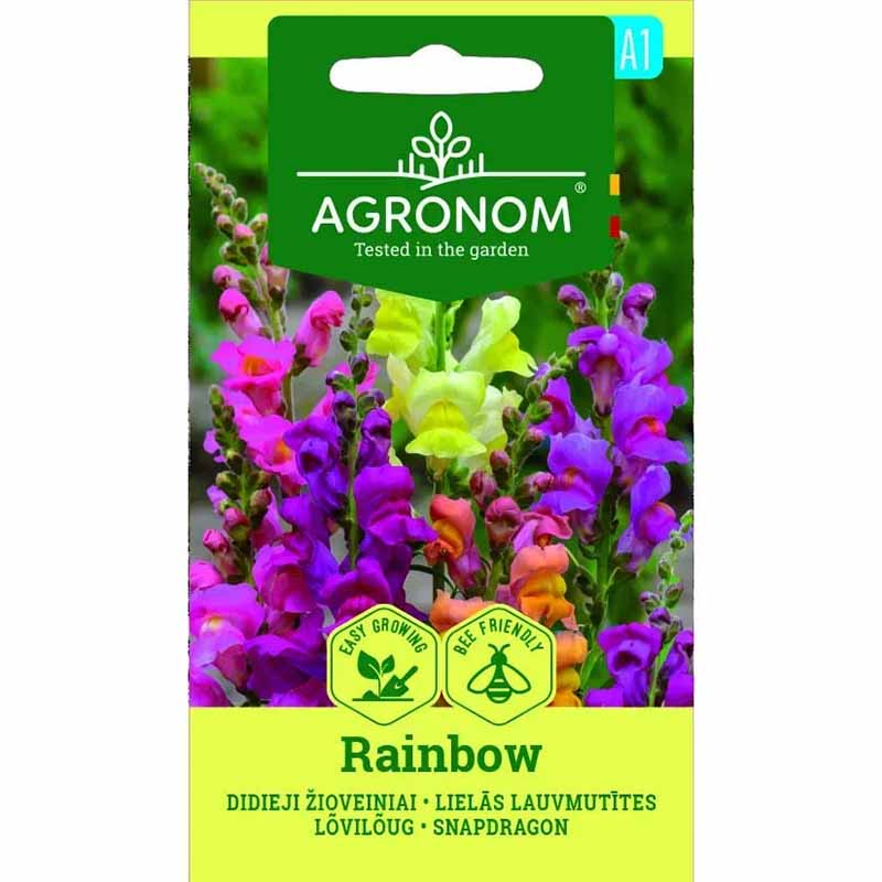 Leijonankita 'Rainbow'