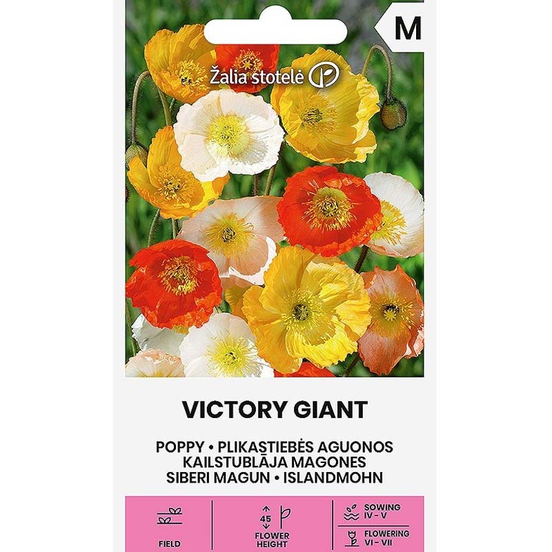 Unikko 'Victory Giant'