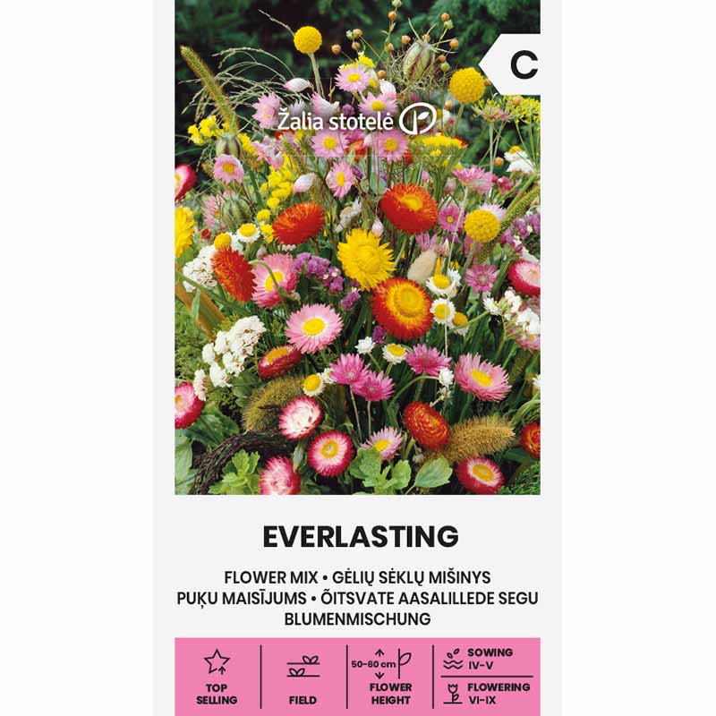 Kukkaseos 'Everlasting'