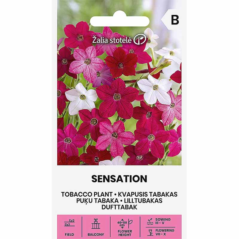 Koristetupakka 'Sensation'