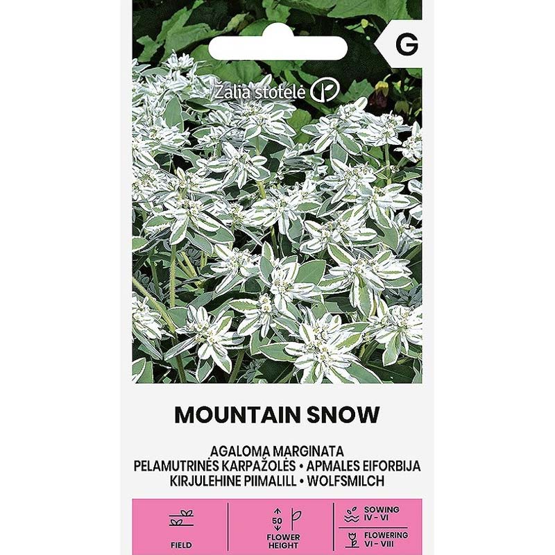 Kirjoseetri 'Mountain snow'